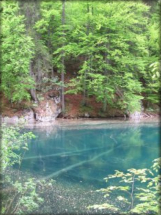 modra gladina spodnjega Belopeškega jezera s potopljenimi debli dreves